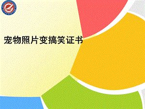 ps技巧一宠物照片变搞笑证书.ppt
