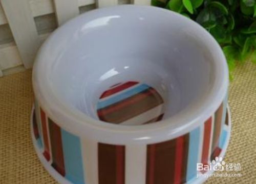 怎样排查宠物猫过敏的常见原因？