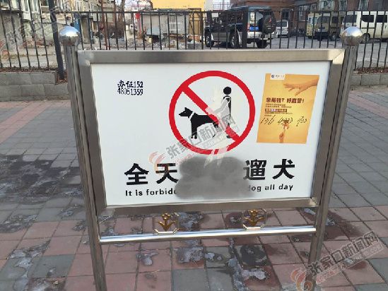 张家口市“桥西模式”探路养犬管理社会化（图）