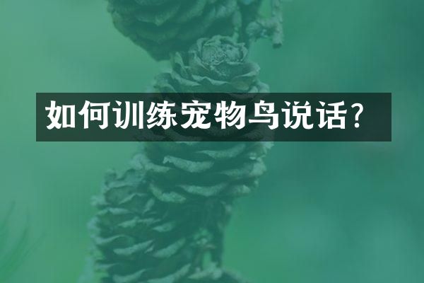 如何训练宠物鸟说话？