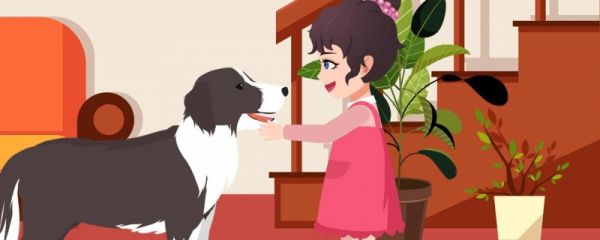 伴侣犬是什么意思
