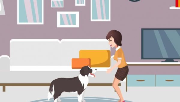 伴侣犬是什么意思