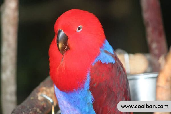 https://cdn.coolban.com/ehow/Editor/2022-05-06/6274c68a4049a.jpg