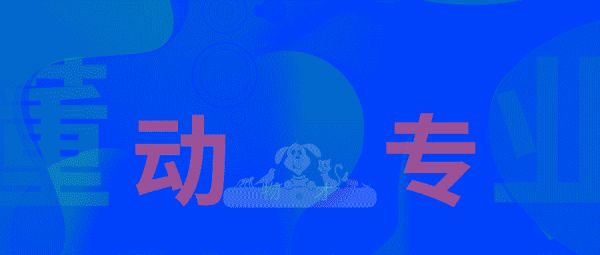 懂动物才专业