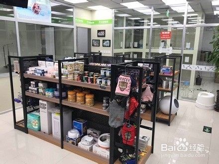 宠物店加盟有哪些加盟支持