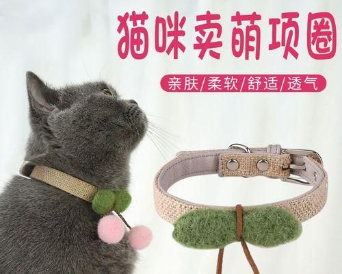 如何为您的宠物挑选合适的项圈？（从材质到设计，全面指南让您无忧选购）