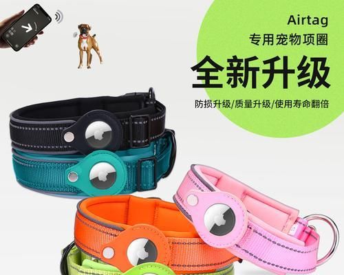 如何为您的宠物挑选合适的项圈？（从材质到设计，全面指南让您无忧选购）