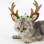 圣诞节猫帽子鹿角猫咪饰品仙女帽防脱绒布不硌森女森系仙鹿角头箍