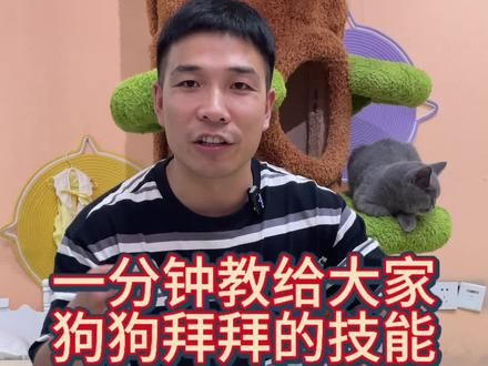 狗狗拜拜的技能，一分钟教给大家。#如何训练小狗 #萌宠出道计划 #狗狗拜拜