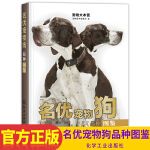 宠物大本营名优宠物狗品种图鉴宠物狗猫驯养教程书宠物狗猫品