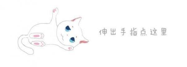 爱宠情绪激动如何调整主人不必读懂其复杂语言，只需守候陪伴！
