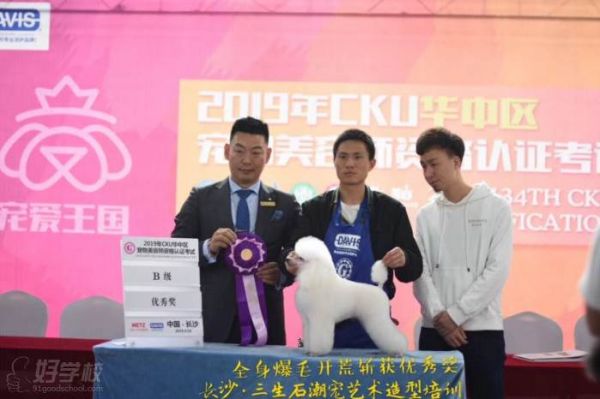 华中区宠物美容师B级特别优秀奖风采