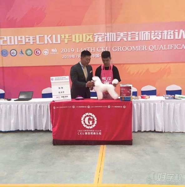 CKU华中区宠物美容师B级特别优秀奖风采 华中区宠物美容师B级特别优秀奖风采