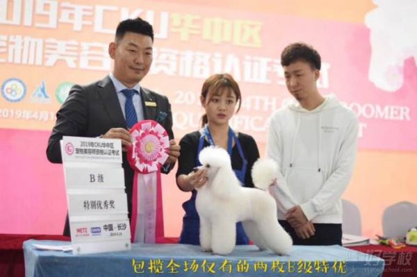 华中区宠物美容师B级优秀奖获奖风采