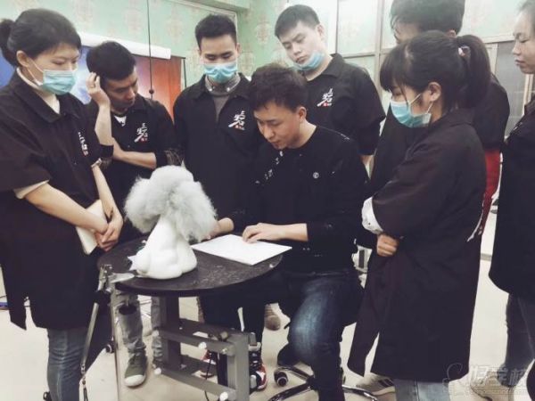长沙三生石宠物美容师培训学校 上课现场