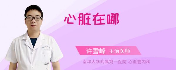 心脏在哪