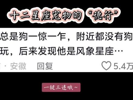 12星座的宠物是什么样的#十二星座系列 #萌宠出道计划 #动物的迷惑行为 #神奇动物在抖音