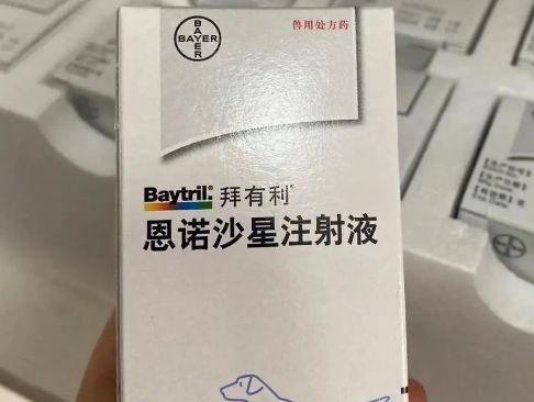 拜有利宠物药的作用有哪些？不妨来看看吧