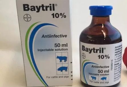 拜有利宠物药的作用有哪些？不妨来看看吧