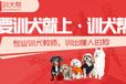武汉宠物训练学校-有口碑的训犬基地-派多格寄训中心