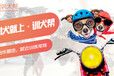 上海狗狗技能学习-宠物训练狗狗训练基地-派多格寄训中心
