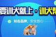 武汉宠物训练价格-训犬帮