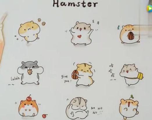 视频-教你画可爱的小仓鼠简笔画