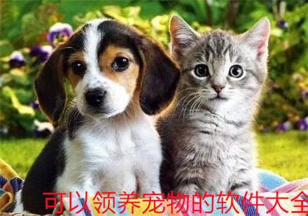 可以领养宠物的软件大全 好用的宠物app推荐