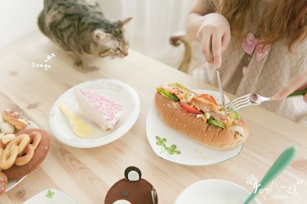 人、宠物、食物，一辑简单的自然光棚拍技巧