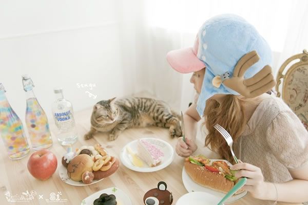 人、宠物、食物，一辑简单的自然光棚拍技巧