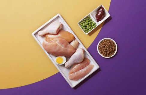 Halo自然光环中国五周年： “纯鲜肉，0肉粉” 造就软便克星