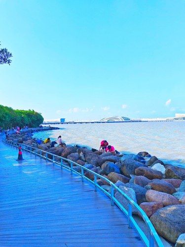 上海吴淞炮台湾湿地森林公园—-足够玩一整天‼️