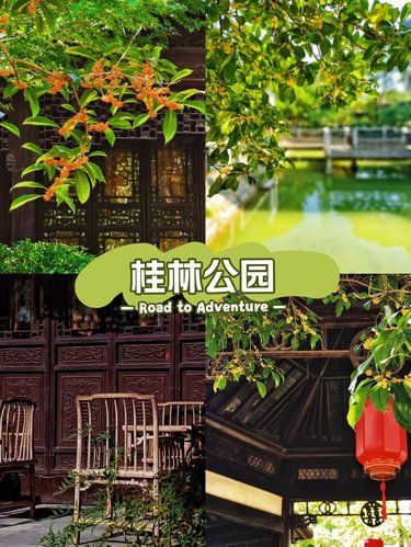 秋天去逛桂林公园，风景美不胜收
