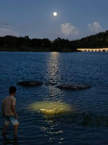 湖边夜色温柔～上海的“阿勒泰”