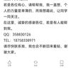 想领养小猫找我