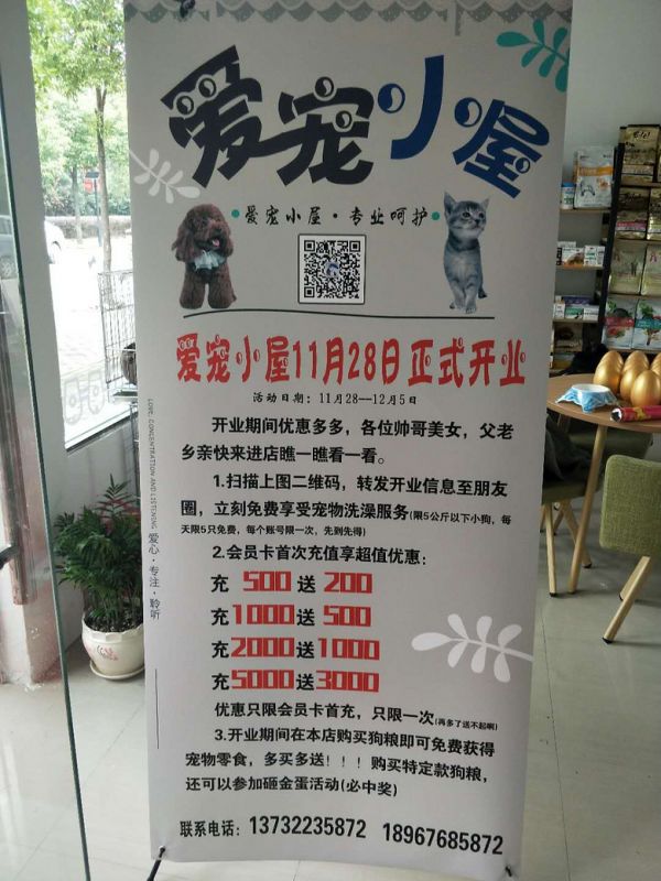 椒江新宠物店开业 洗澡美容用品全部八折优惠，会员充500送200起