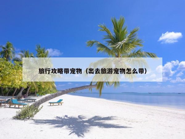 旅行攻略带宠物（出去旅游宠物怎么带）