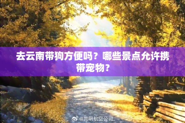 去云南带狗方便吗？哪些景点允许携带宠物？