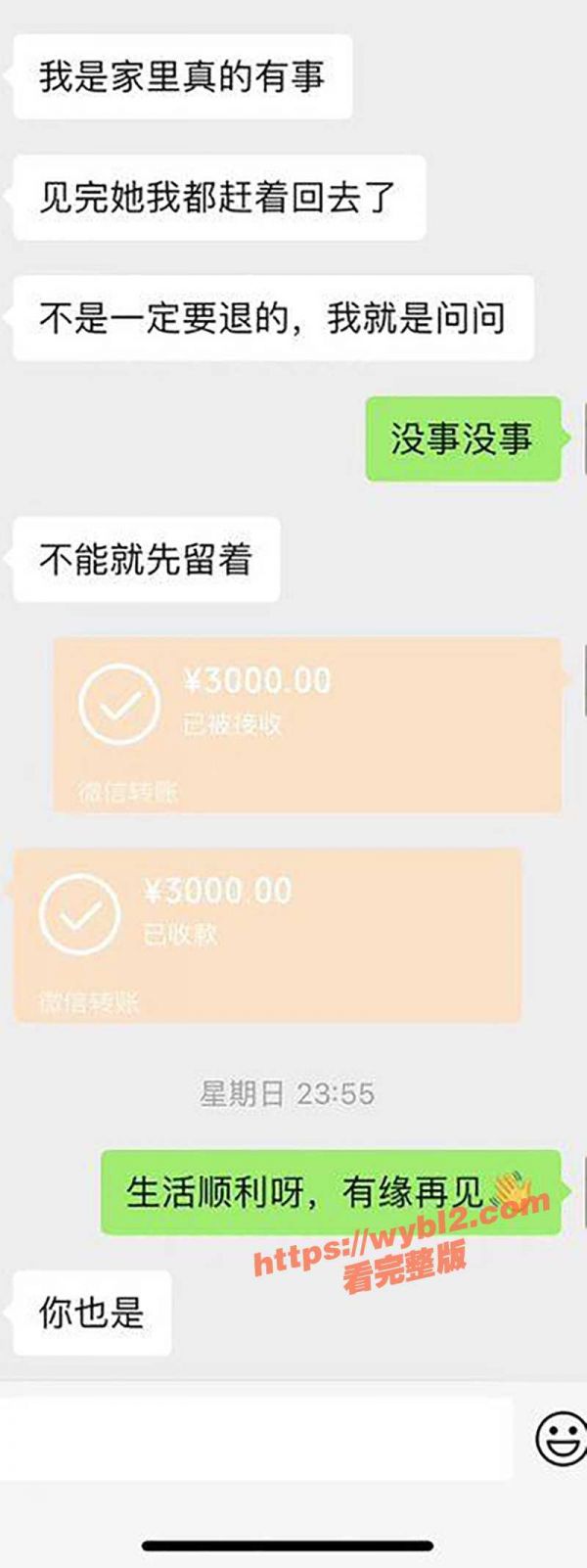 宠物博主1.jpg