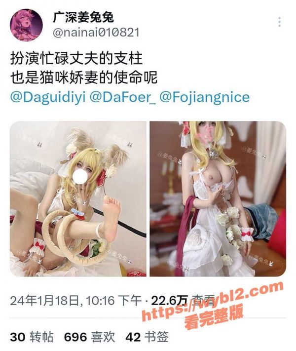 宠物博主12.jpg