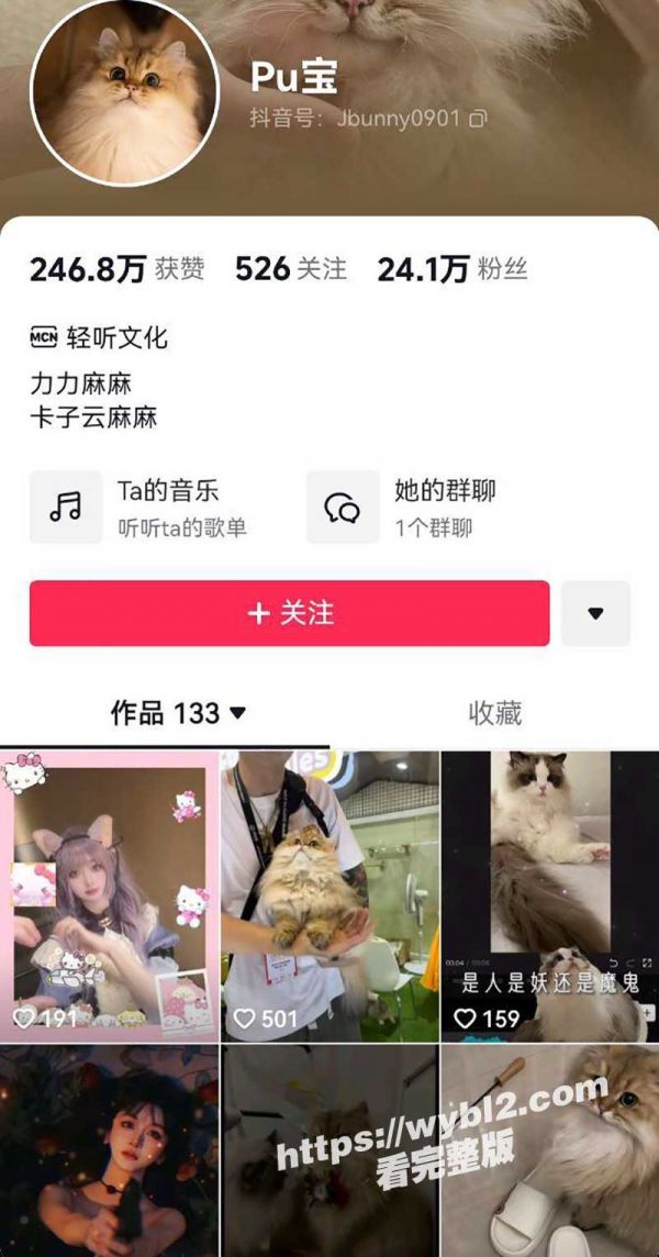 宠物博主6.jpg