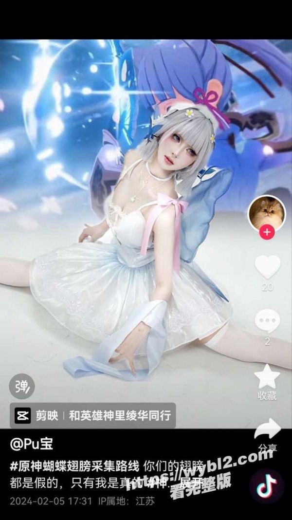 宠物博主7.jpg