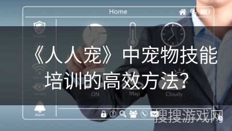 《人人宠》中宠物技能培训的高效方法？