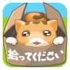 拯救舍弃的猫