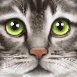 小猫模拟器中文版 v1.1 安卓版