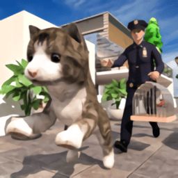 非常宠物猫模拟器手机版 v1.0.0 安卓版