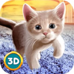 家猫模拟器中文版 v1.0 安卓版