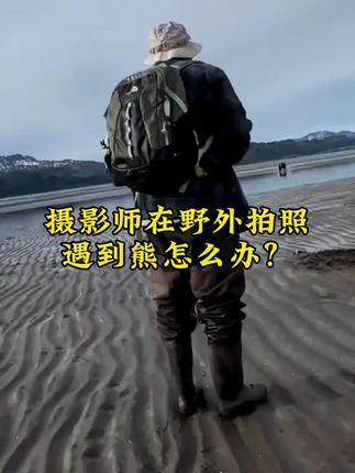 摄影笔记:摄影师在野外拍照遇到熊怎么办?#硬控30秒 #摄影 #第一视角