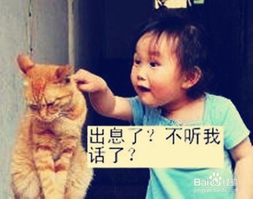 小猫老是挠我怎么办