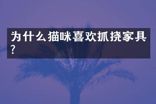 为什么猫咪喜欢抓挠家具？